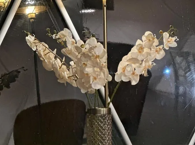 Ranczo Targowka - Glampy I شقة *