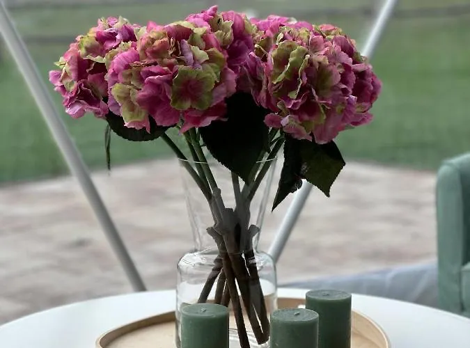 Ranczo Targowka - Glampy I Malanow